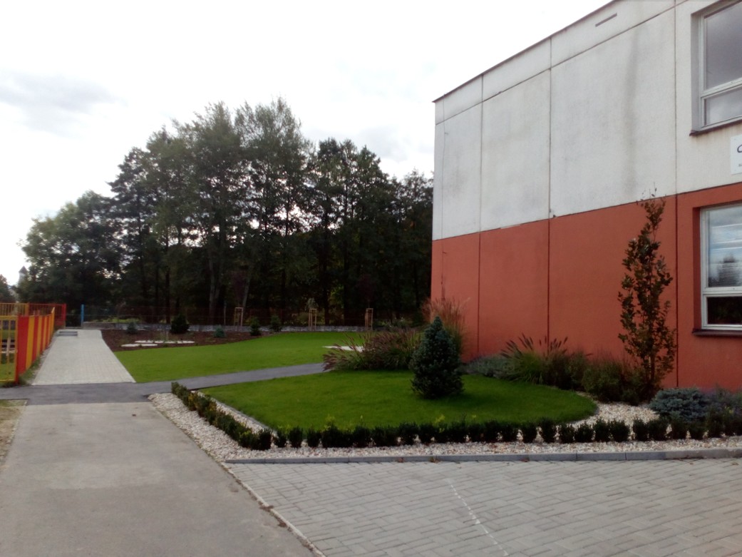 project_image